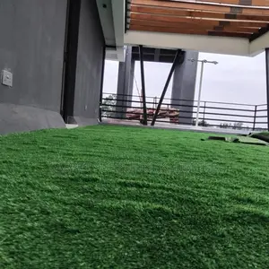 Grasscarpet23