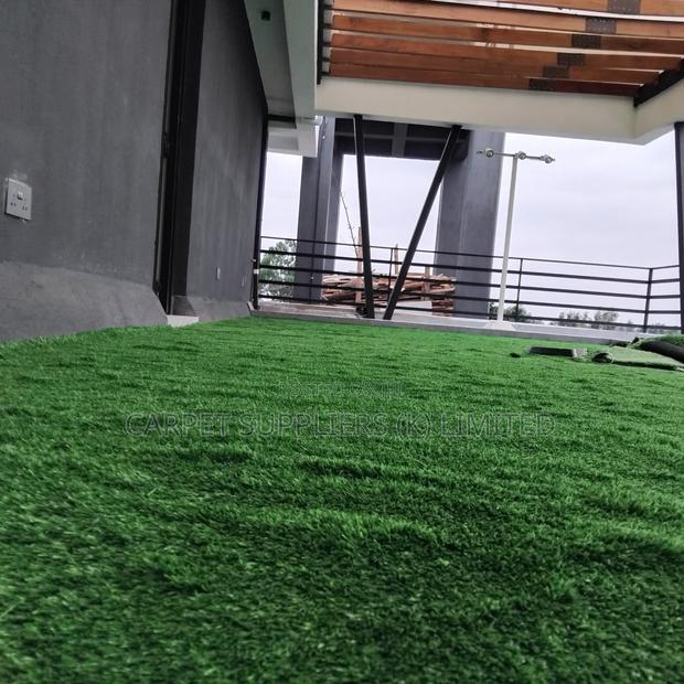 Grasscarpet23