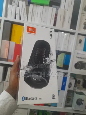 JBL Flip 6