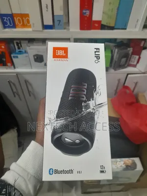 JBL Flip 6