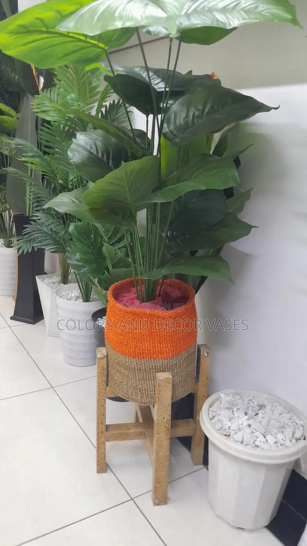 Brown Orange Basket, Brown Stand and Green Plant