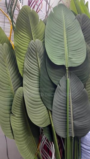 Banana Leaves Available - thumbnail 2