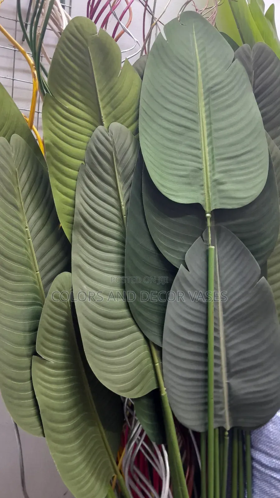 Banana Leaves Available