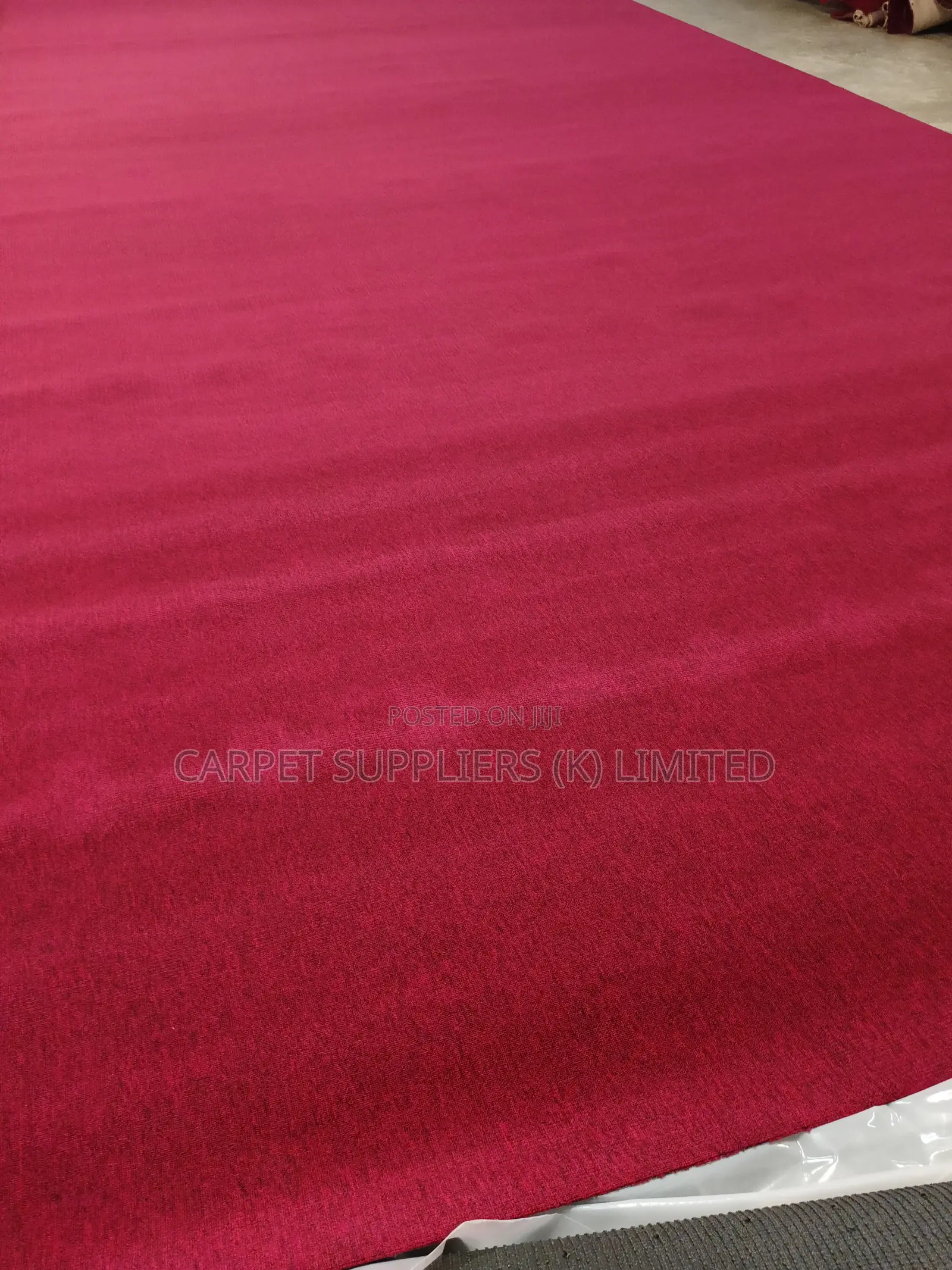 Red Carpet 28