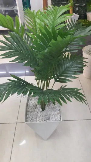 Palm Tree Vase Plus Stones