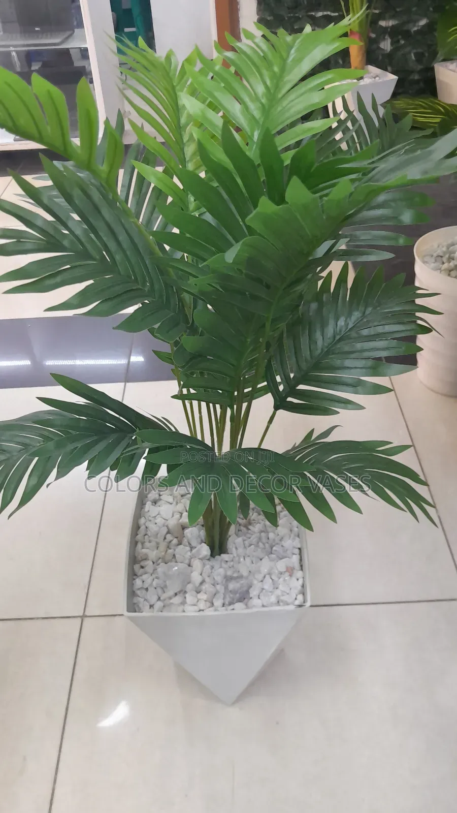 Palm Tree Vase Plus Stones