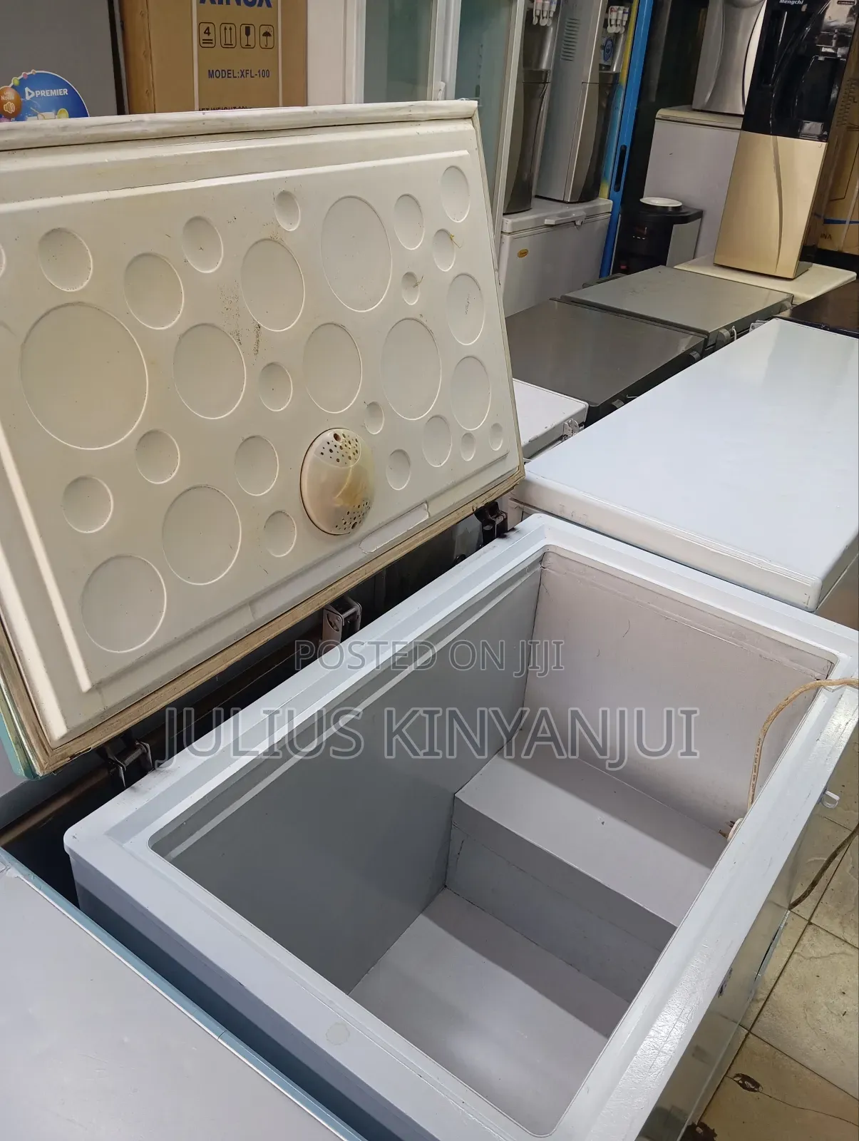 Che Freezer 300L