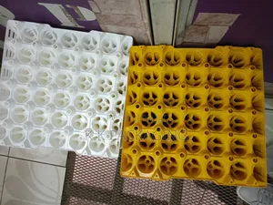 Bright Colours Plastic Egg Trays