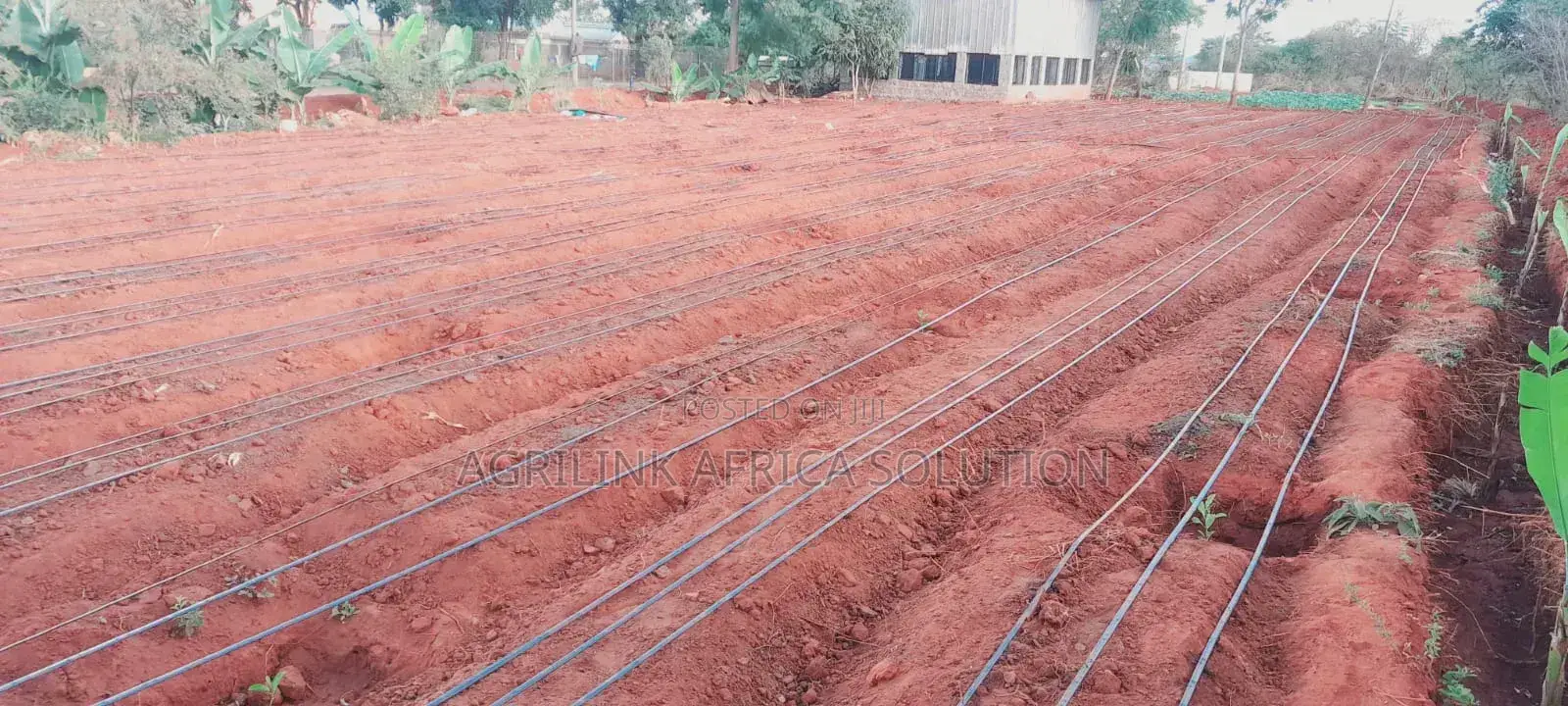 Drip Irrigation Installation