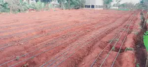 Drip Irrigation Installation
