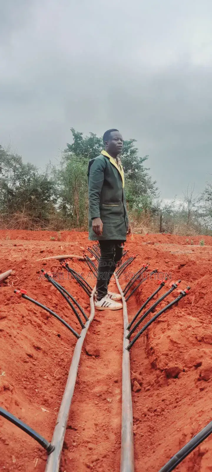 Drip Irrigation Installation
