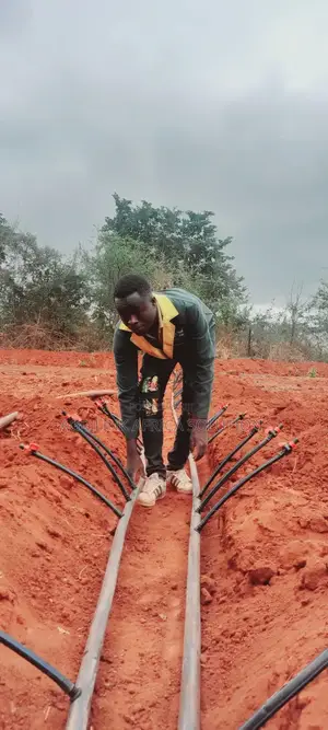 Drip Irrigation Installation
