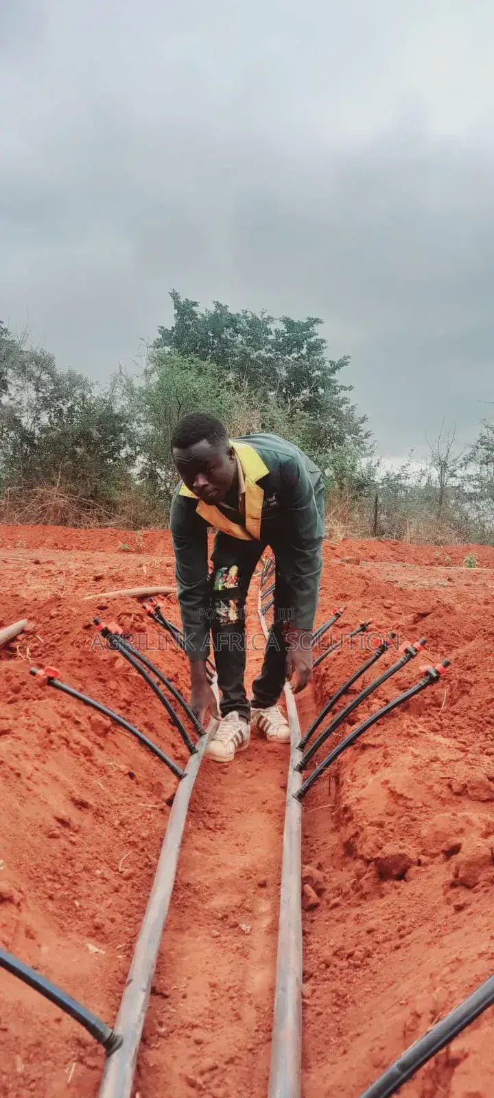 Drip Irrigation Installation