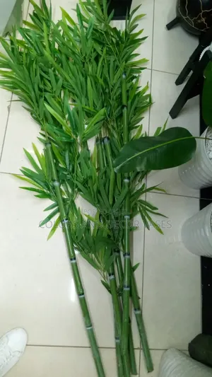 Almost Real Bamboo Sticks In Stock