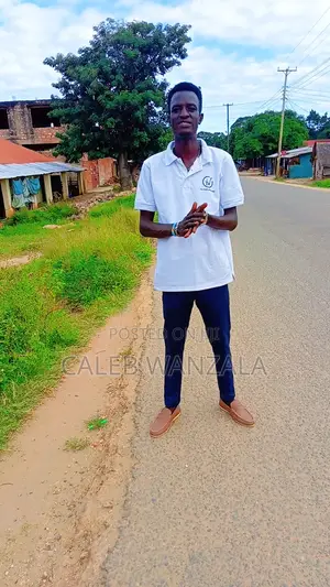 Personal Driver Available