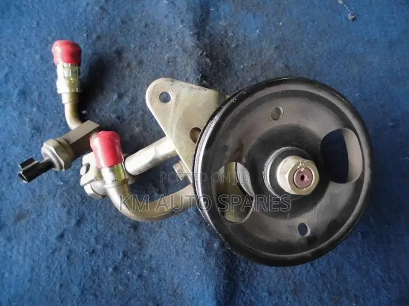 Nissan Vq23 Power Steering Pump for Teana.