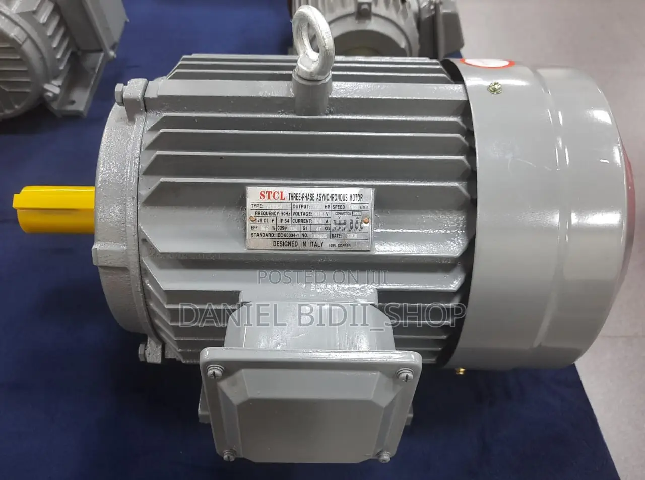 Italy Stcl 7.5hp Low Speedthree Phase Electric Motor