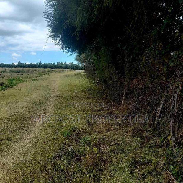 Prime 5-Acre Plot in Nanyuki: Residential/Commercial - thumbnail 3