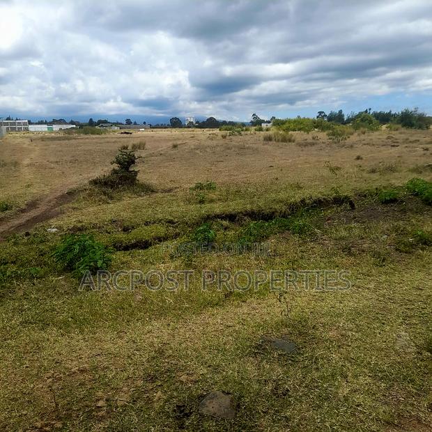 Prime 5-Acre Plot in Nanyuki: Residential/Commercial - thumbnail 5