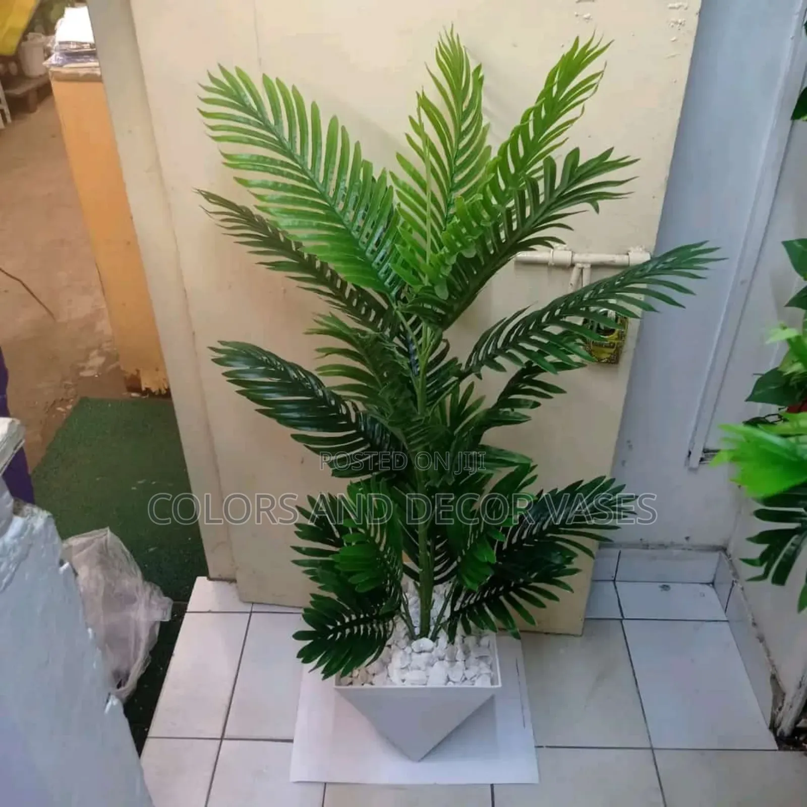 Palm Trees Alone Variety Available