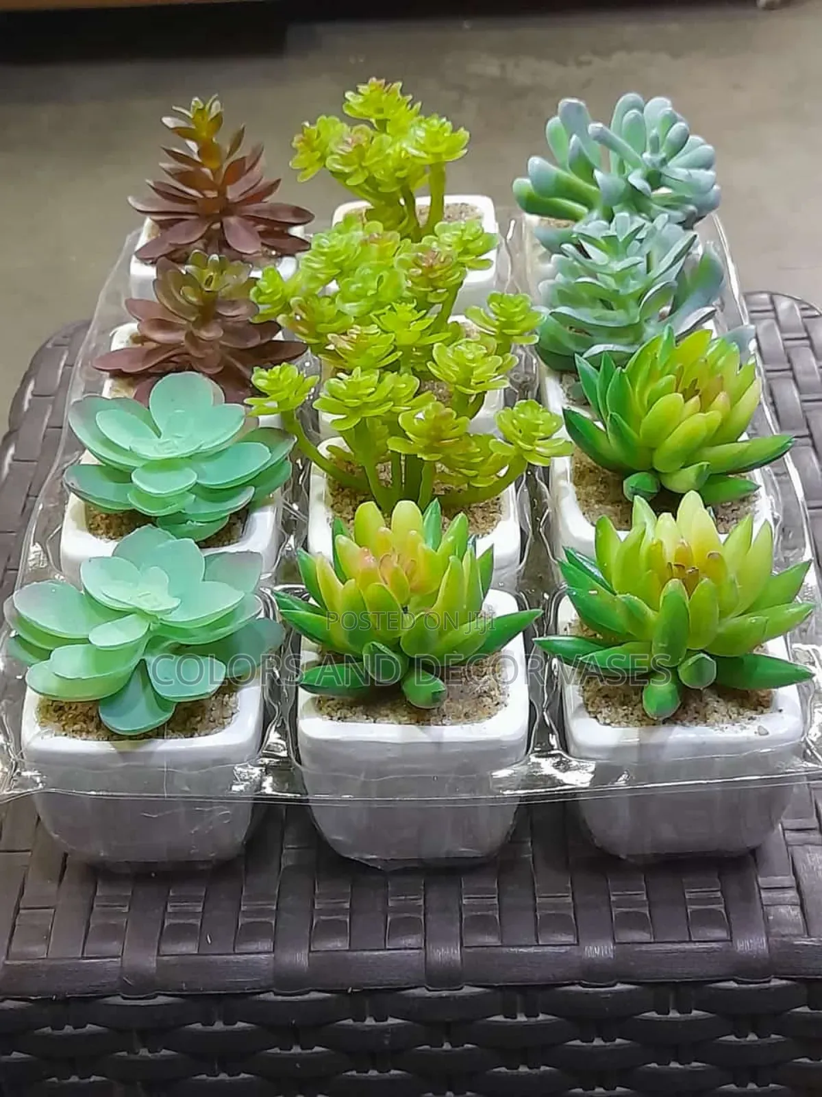 Artificial Succulents