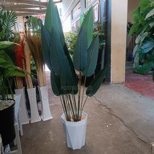 Banana Plant Unique - thumbnail 2