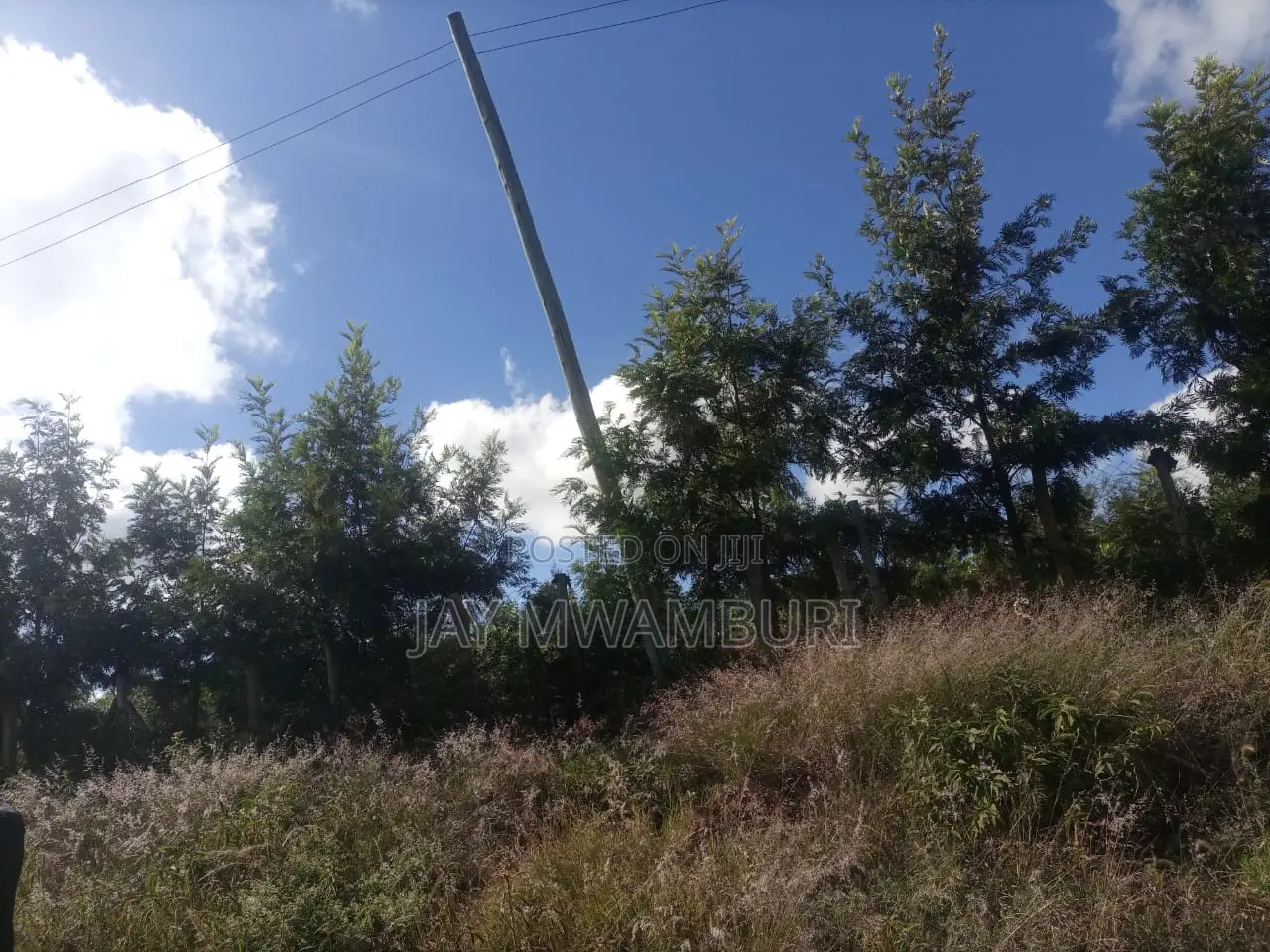 Lovely 1 1/2 Acre Mua Hills
