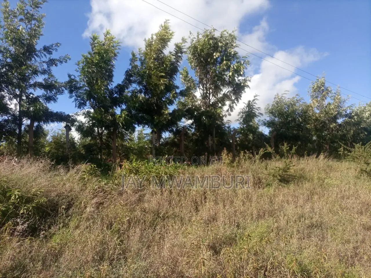 Lovely 1 1/2 Acre Mua Hills
