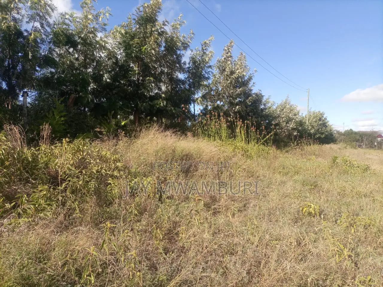 Lovely 1 1/2 Acre Mua Hills