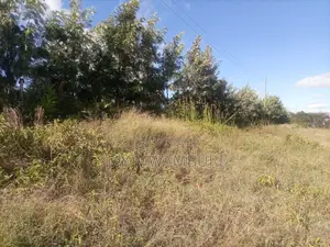 Lovely 1 1/2 Acre Mua Hills