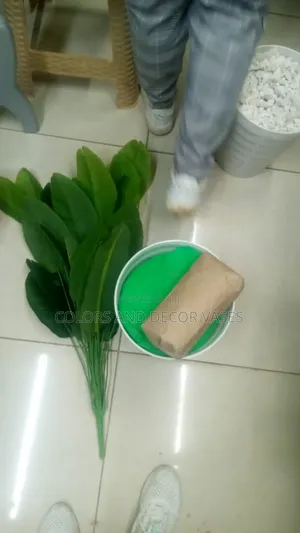 Banana Plant With Plastic Vase With Decorative Stones
