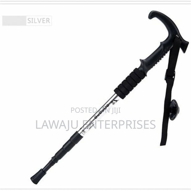 Antishock Walking Stick - main view