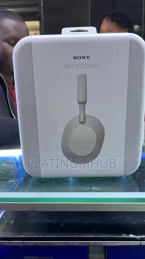 Sony Wh 1000xm5 (Silver) - thumbnail 2
