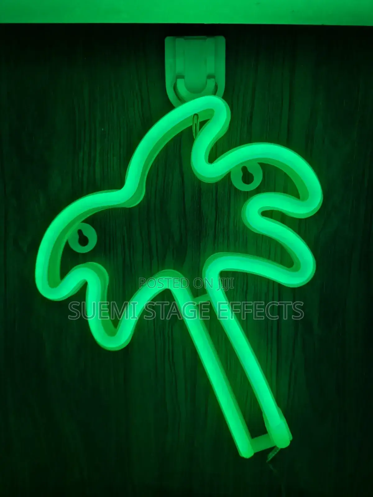 Home Studio LED Decoration Lamp