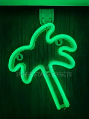 Home Studio LED Decoration Lamp
