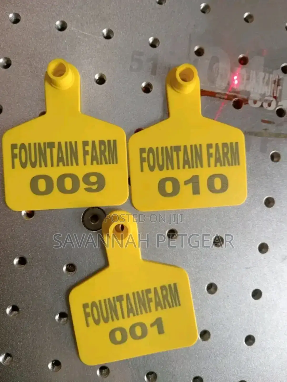 Goats Sheep Laser Customized Ear Tags -all Colours