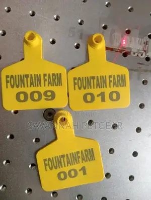 Goats Sheep Laser Customized Ear Tags -all Colours