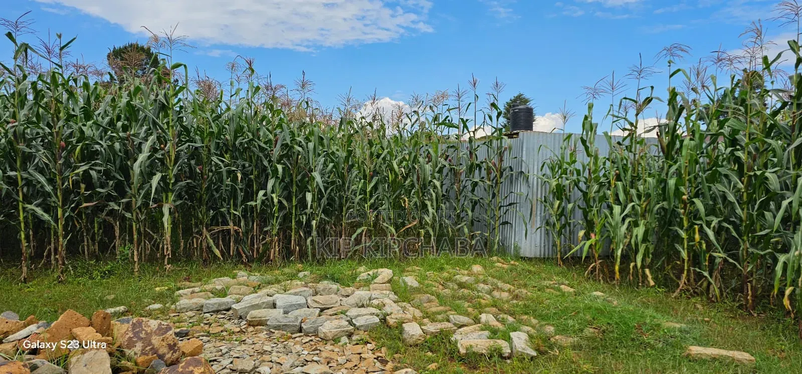 1⁄4 Plot for Sale in Illula Eldoret City