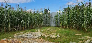 1⁄4 Plot for Sale in Illula Eldoret City