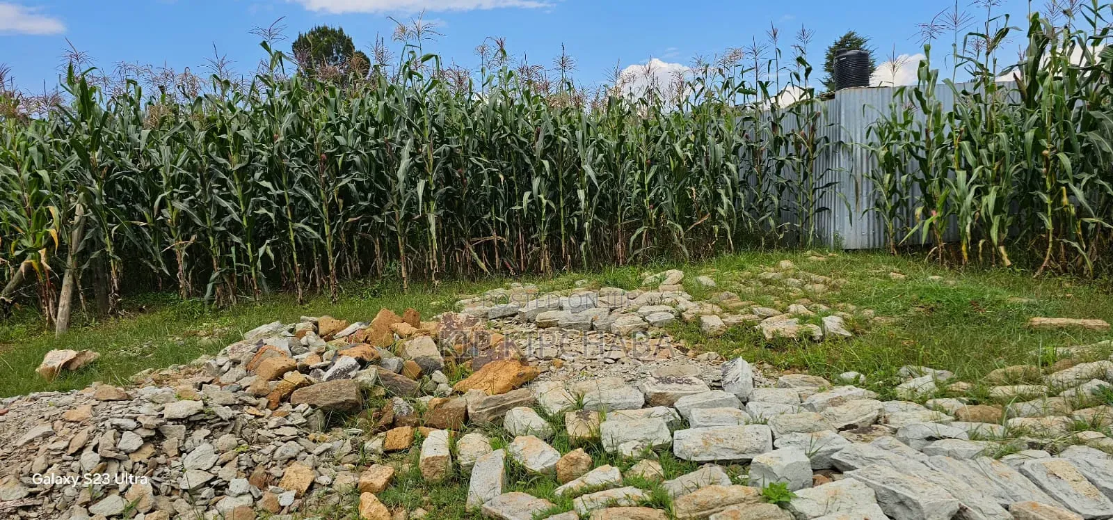 1⁄4 Plot for Sale in Illula Eldoret City