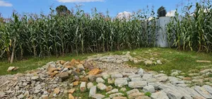 1⁄4 Plot for Sale in Illula Eldoret City