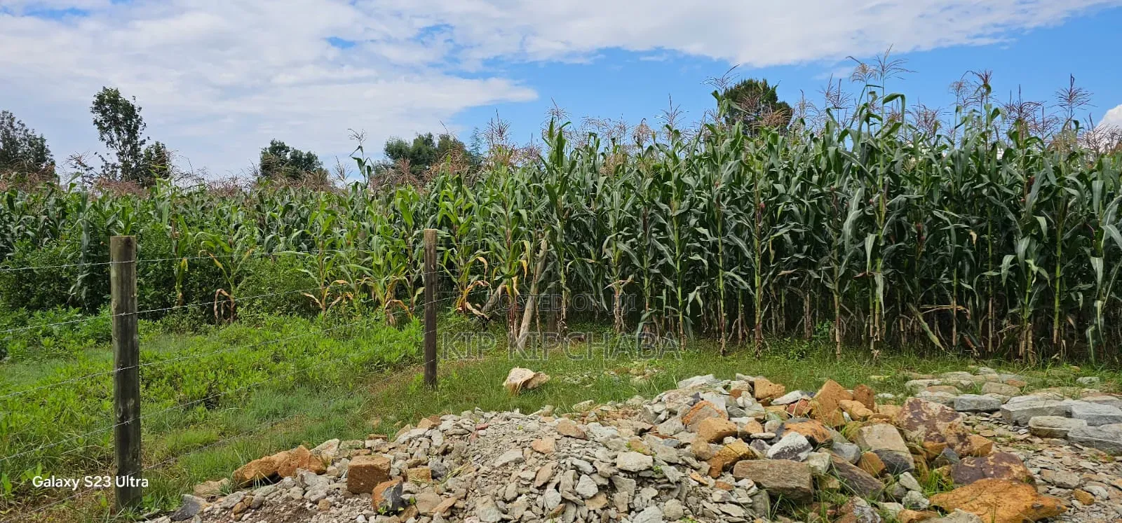 1⁄4 Plot for Sale in Illula Eldoret City