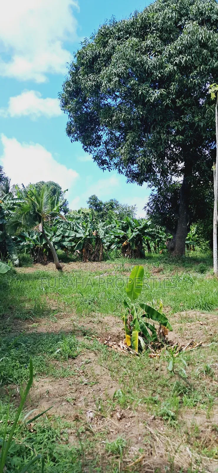 For Sale Quater Acre Plot Mtwapa.