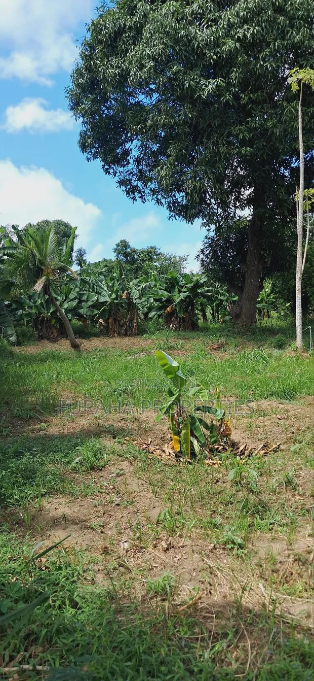 For Sale Quater Acre Plot Mtwapa. - thumbnail 8