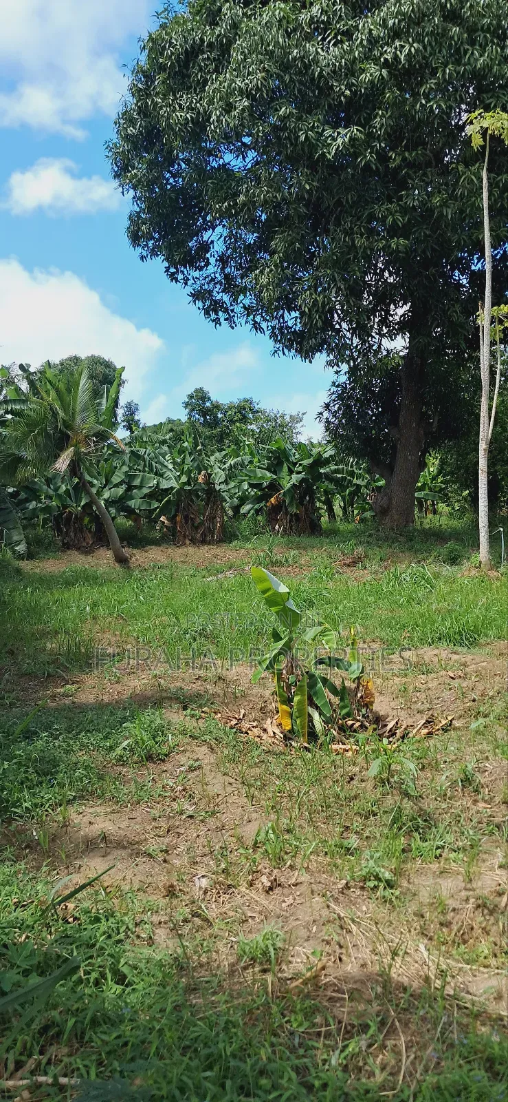 For Sale Quater Acre Plot Mtwapa.