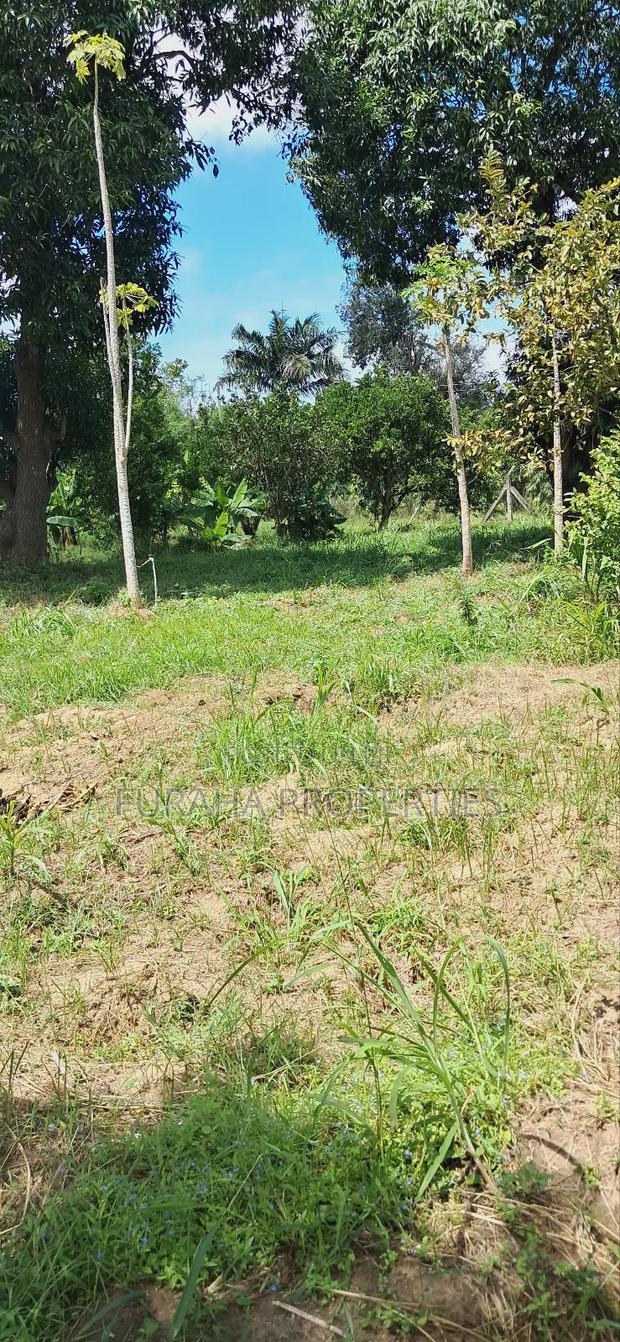 For Sale Quater Acre Plot Mtwapa. - thumbnail 9