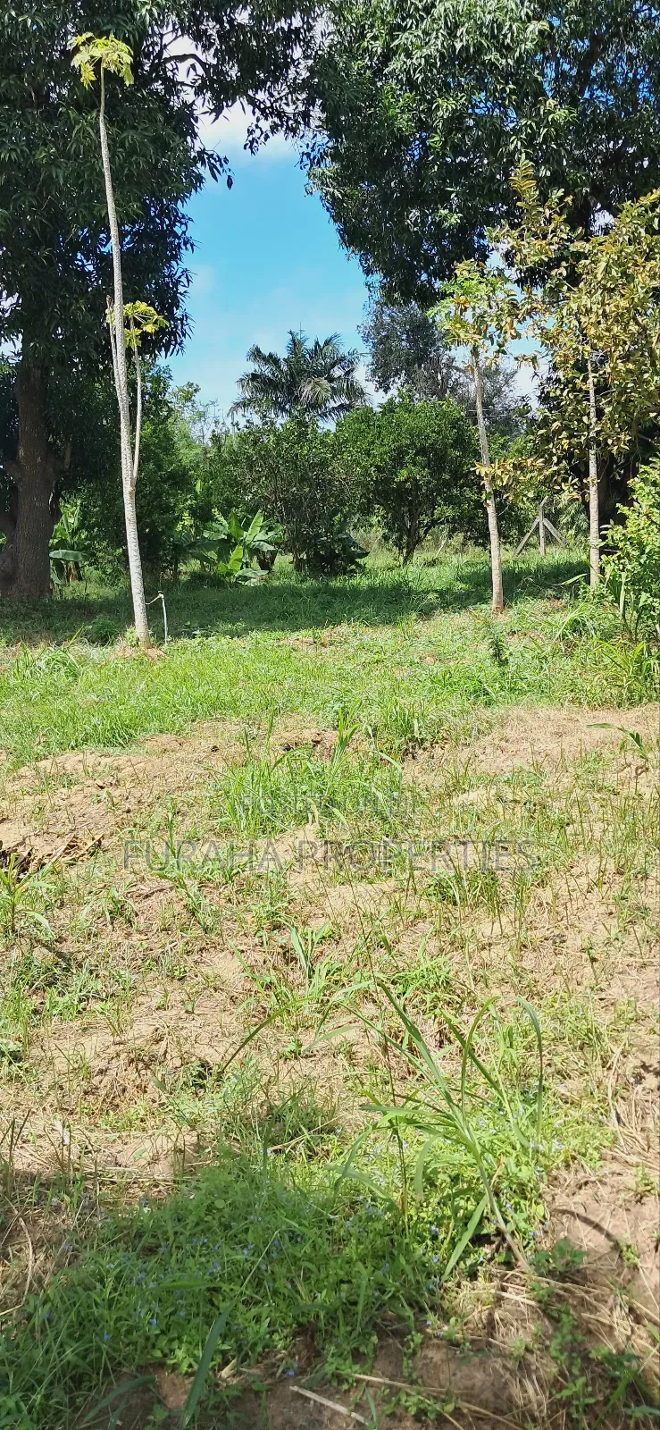 For Sale Quater Acre Plot Mtwapa.