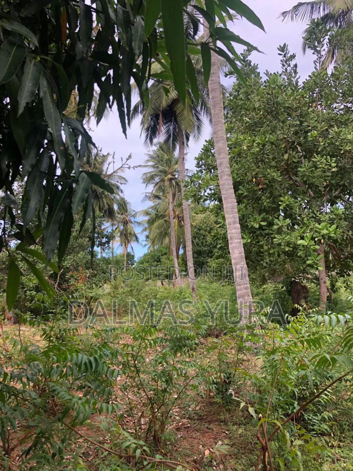 An Acre Land Along GedeWatamu Road in Watamu Land & Plots for Sale