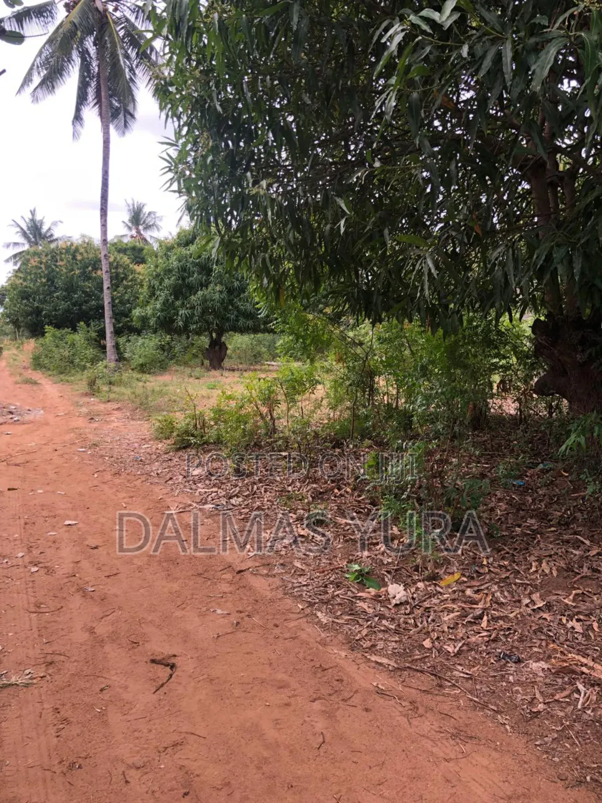 An Acre Land Along GedeWatamu Road in Watamu Land & Plots for Sale