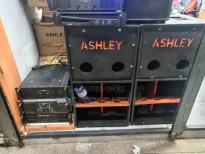 Ashley Complete Bass Speaker 127mm Voice Coil